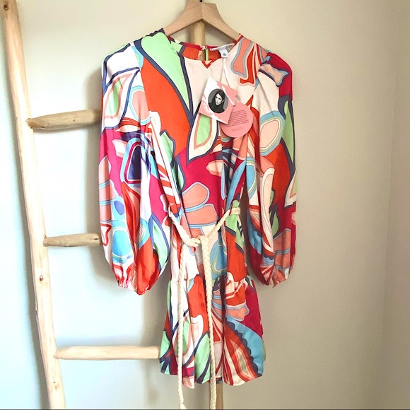 ALEXIS for Target | mixed floral long sleeve dress - Picture 4 of 11